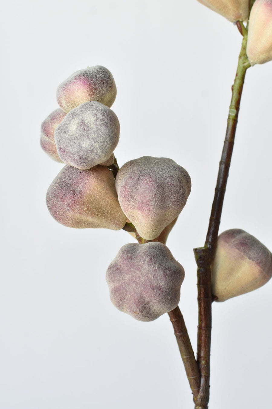 27" Faux Fig Fruit Branch