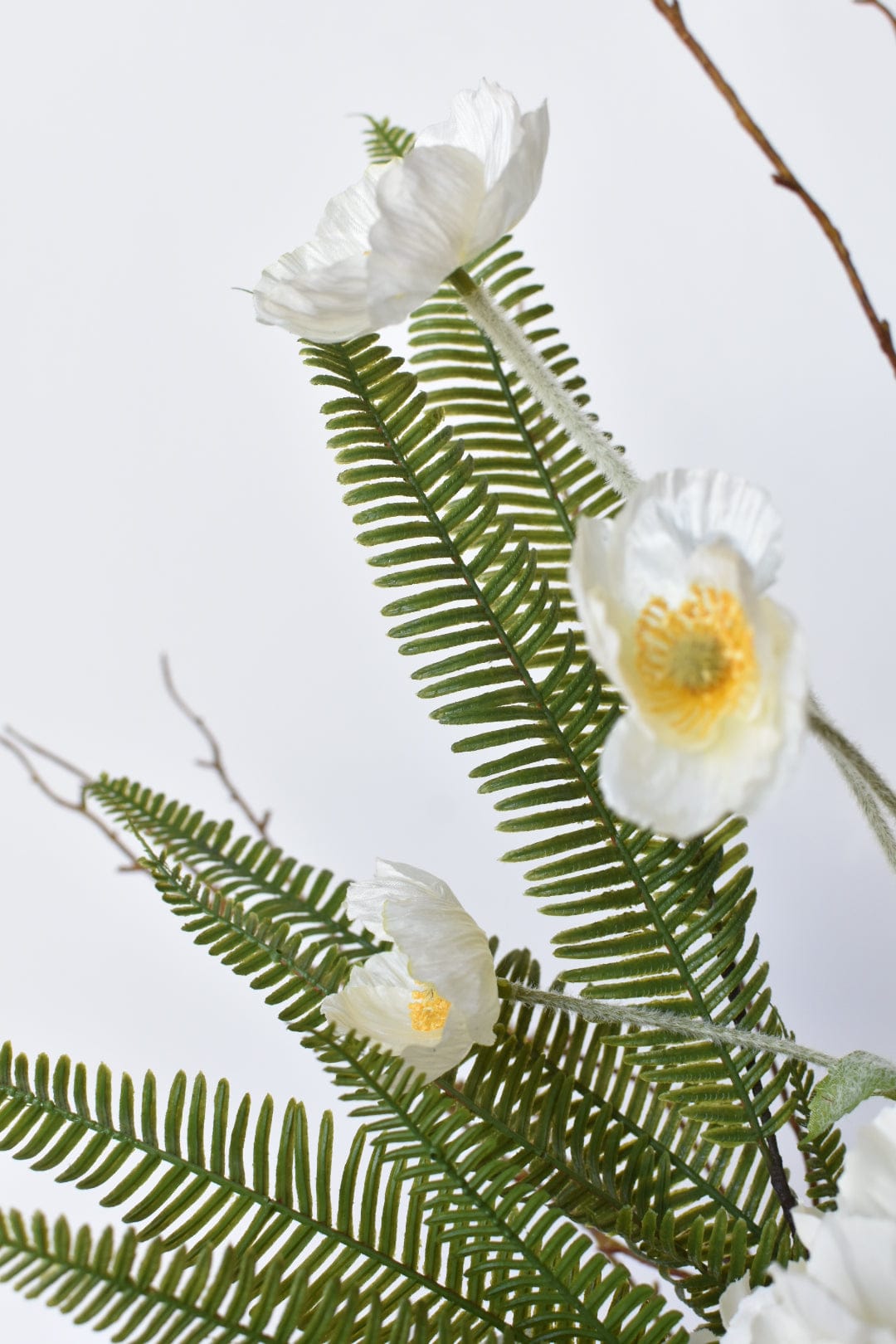 White and Green HOLD US OVER - Curated Bundle