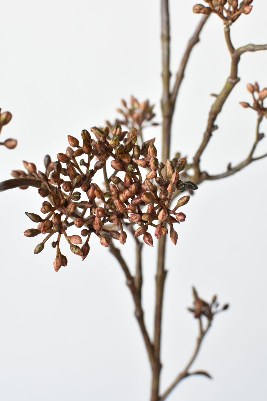 38" Faux Brown Sedum Berry Branch