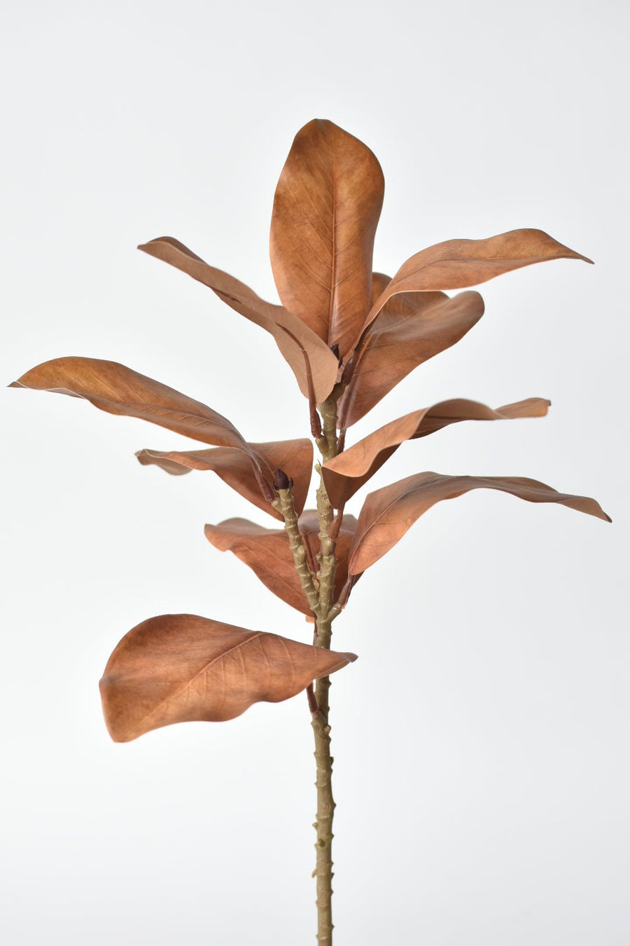 21" Faux Magnolia Leaf Stem : Toffee