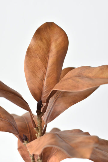 21" Faux Magnolia Leaf Stem : Toffee