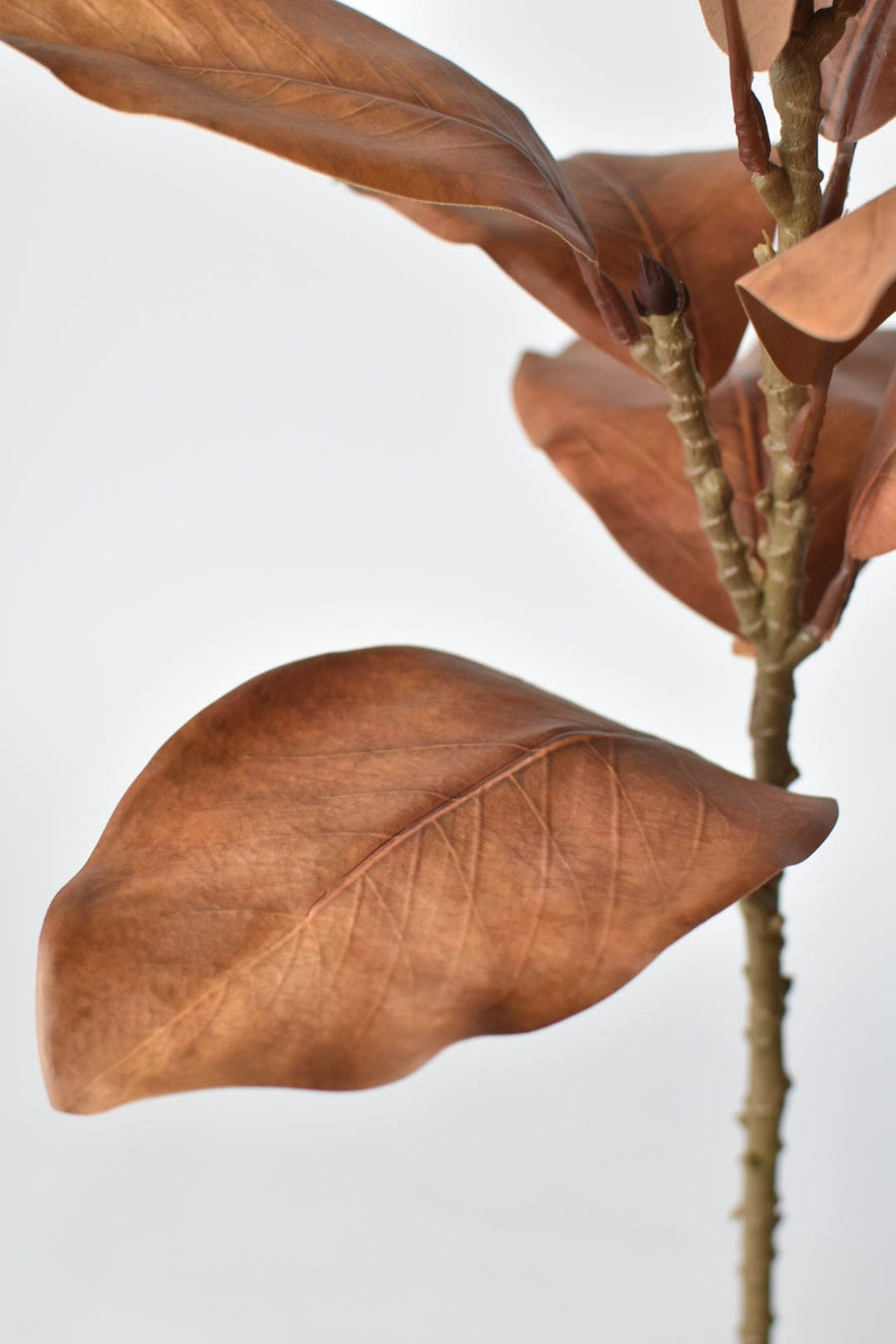 21" Faux Magnolia Leaf Stem : Toffee