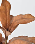 21" Faux Magnolia Leaf Stem : Toffee