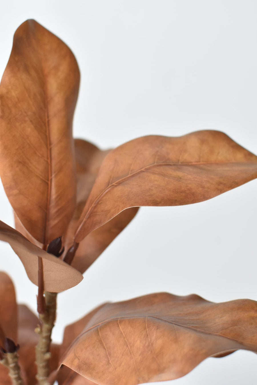 21" Faux Magnolia Leaf Stem : Toffee