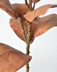 21" Faux Magnolia Leaf Stem : Toffee