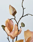 19" Faux Magnolia Stem Light Orange/Pink