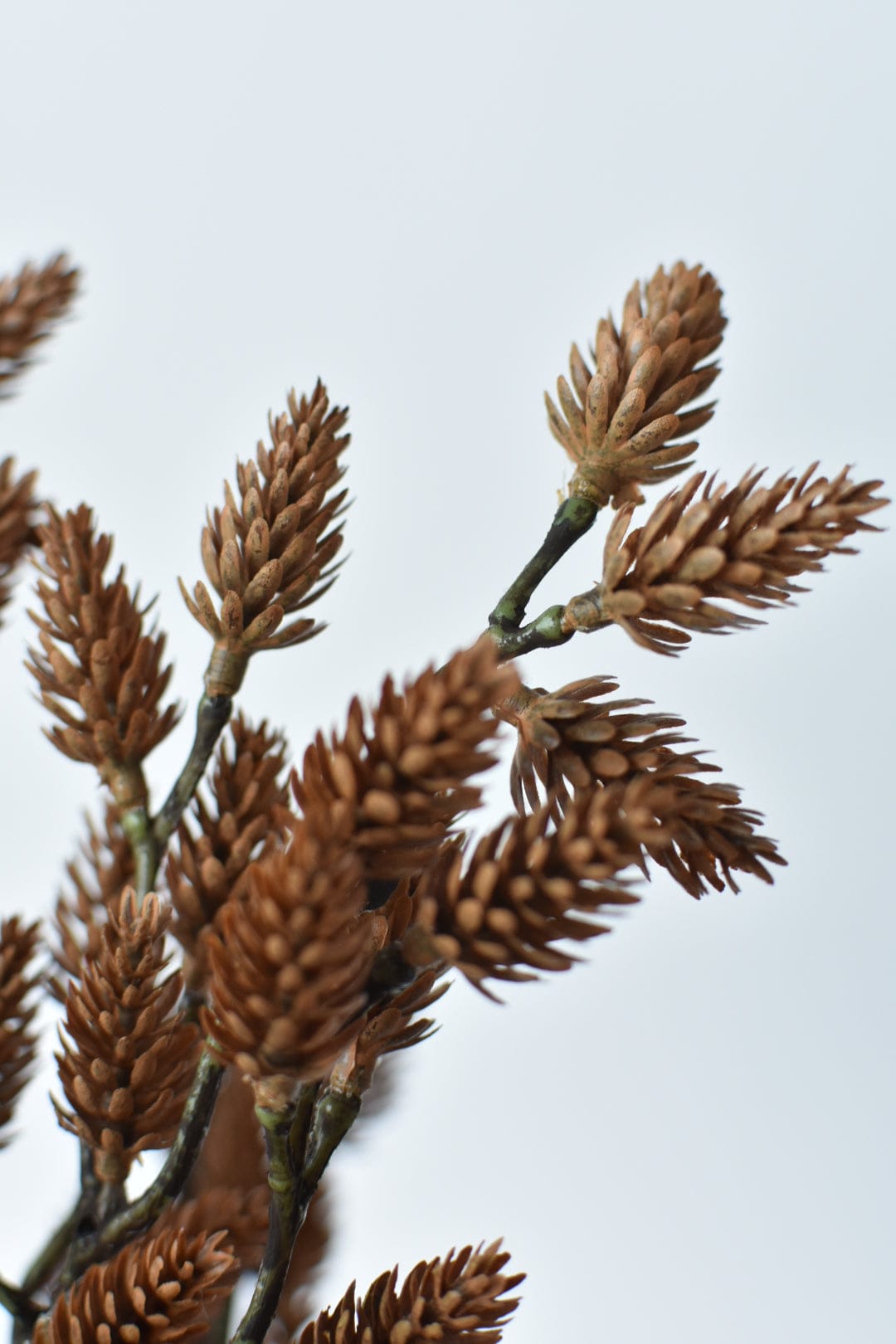 19" Faux Plastic Pinecone Bush