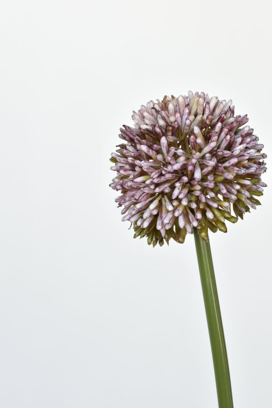 21.5" Faux Large Allium Light Violet