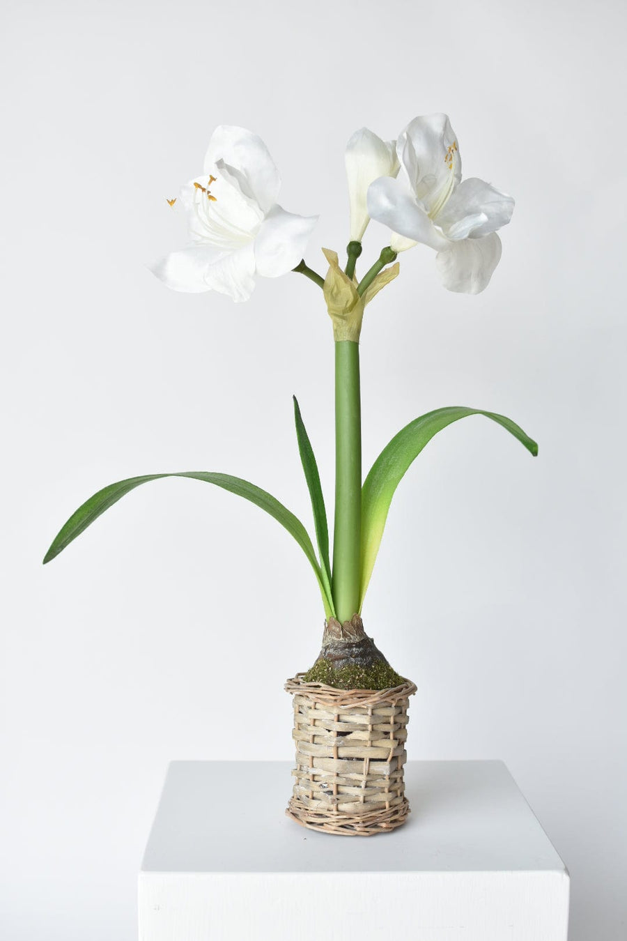 20.5" Faux White Amaryllis in Woven Pot