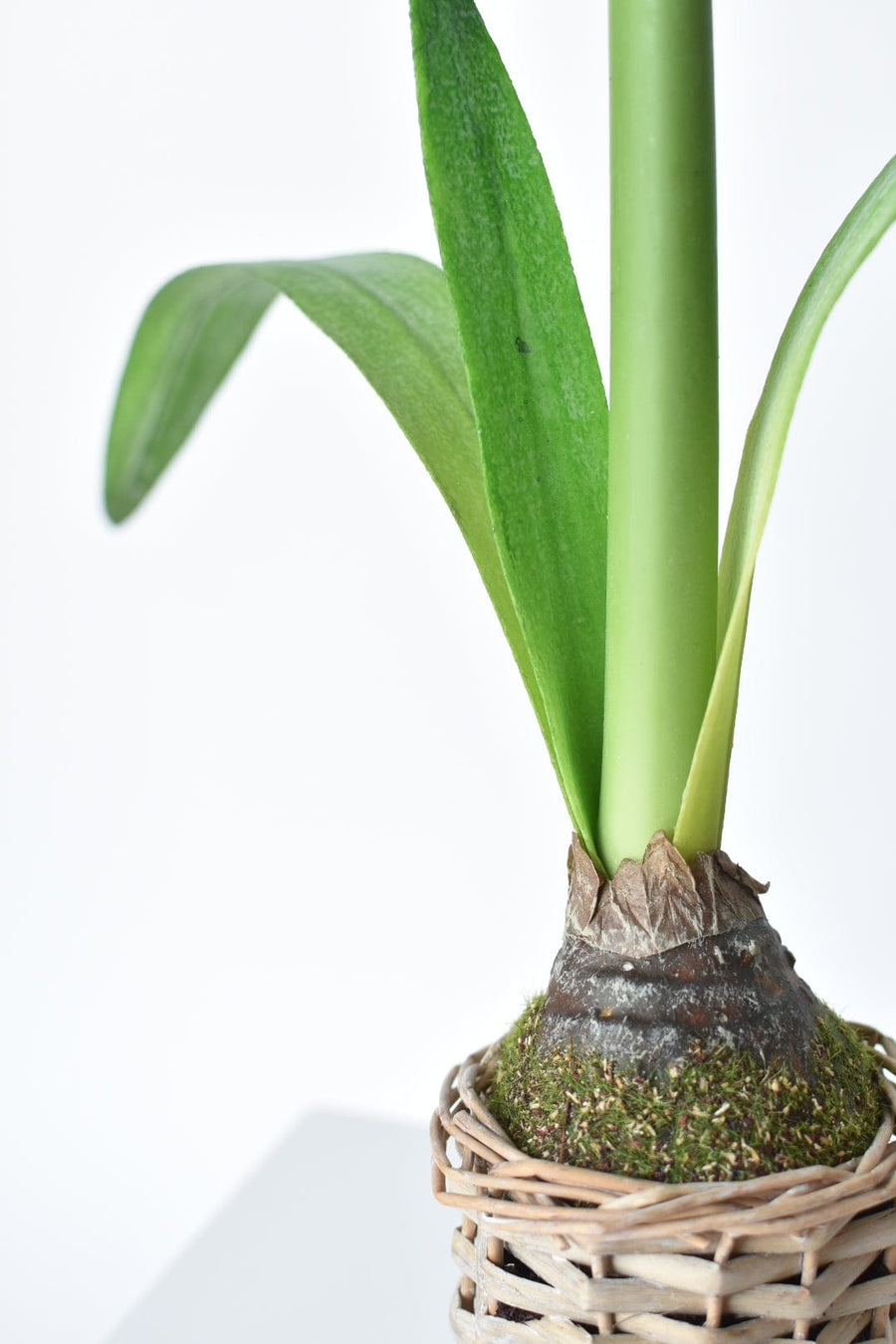 20.5" Faux White Amaryllis in Woven Pot