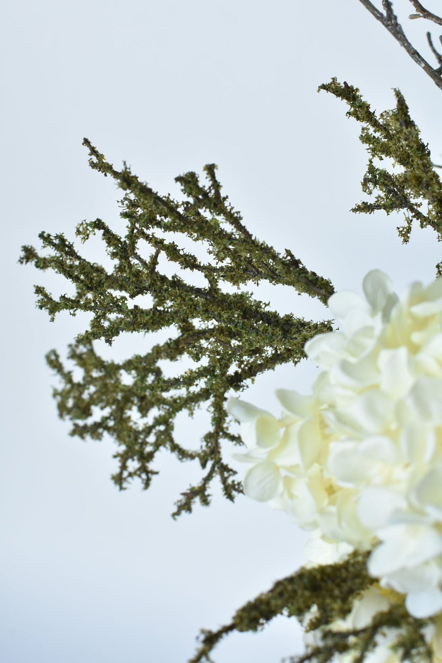 White Sunflower + Acorn - Curated Bundle