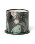 3oz Blackberry Absinthe Candle in Tin