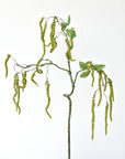 35" Faux Fuzzy Amaranthus Branch Stem