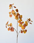 26" Faux Cotinus Leaf Stem Red / Orange / Yellow