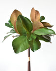 18" Faux Magnolia Leaf Bundle