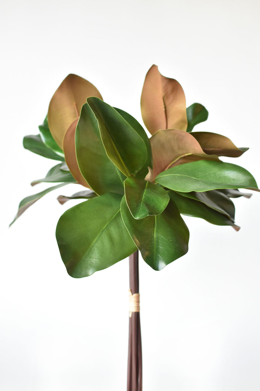 18" Faux Magnolia Leaf Bundle