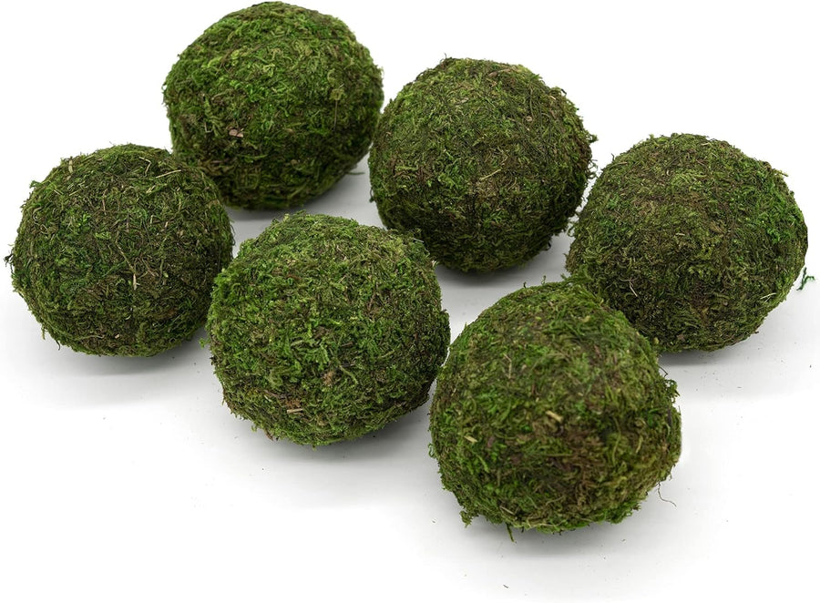 3" Moss Balls (set of 6)