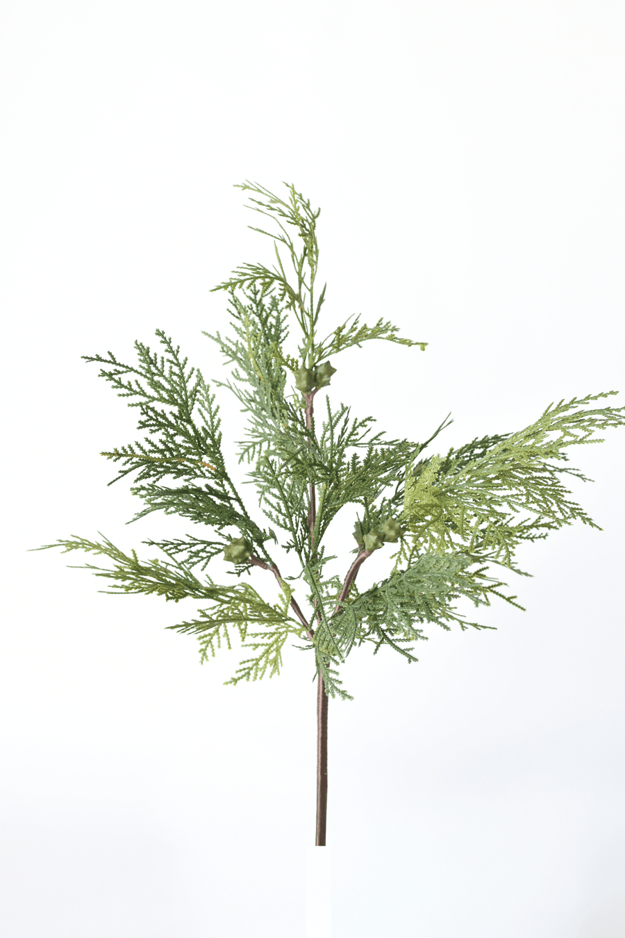 16" Faux Cedar with Pod Stem