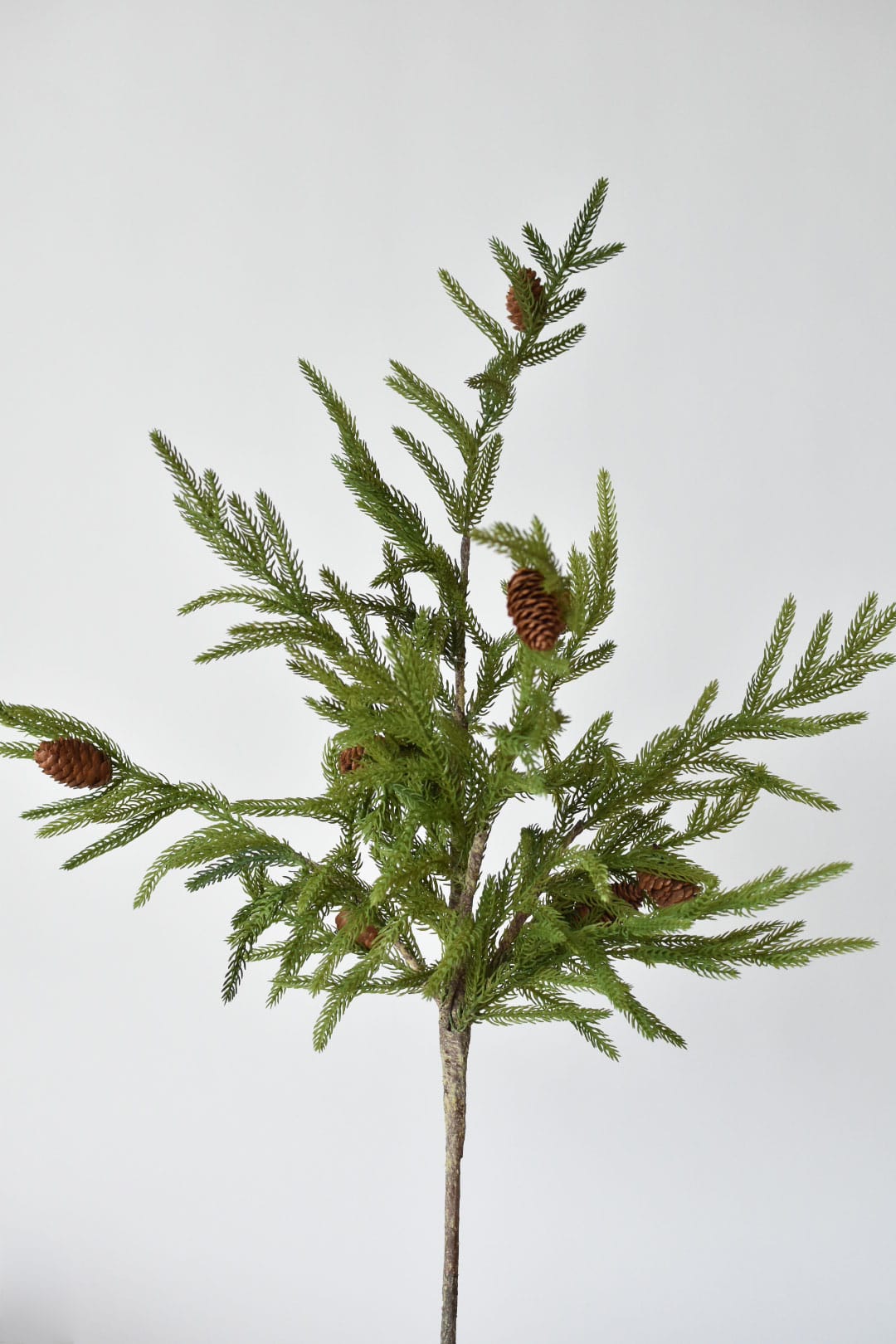 32-inch faux Norfolk pine branch stem with real pinecones, full branch view