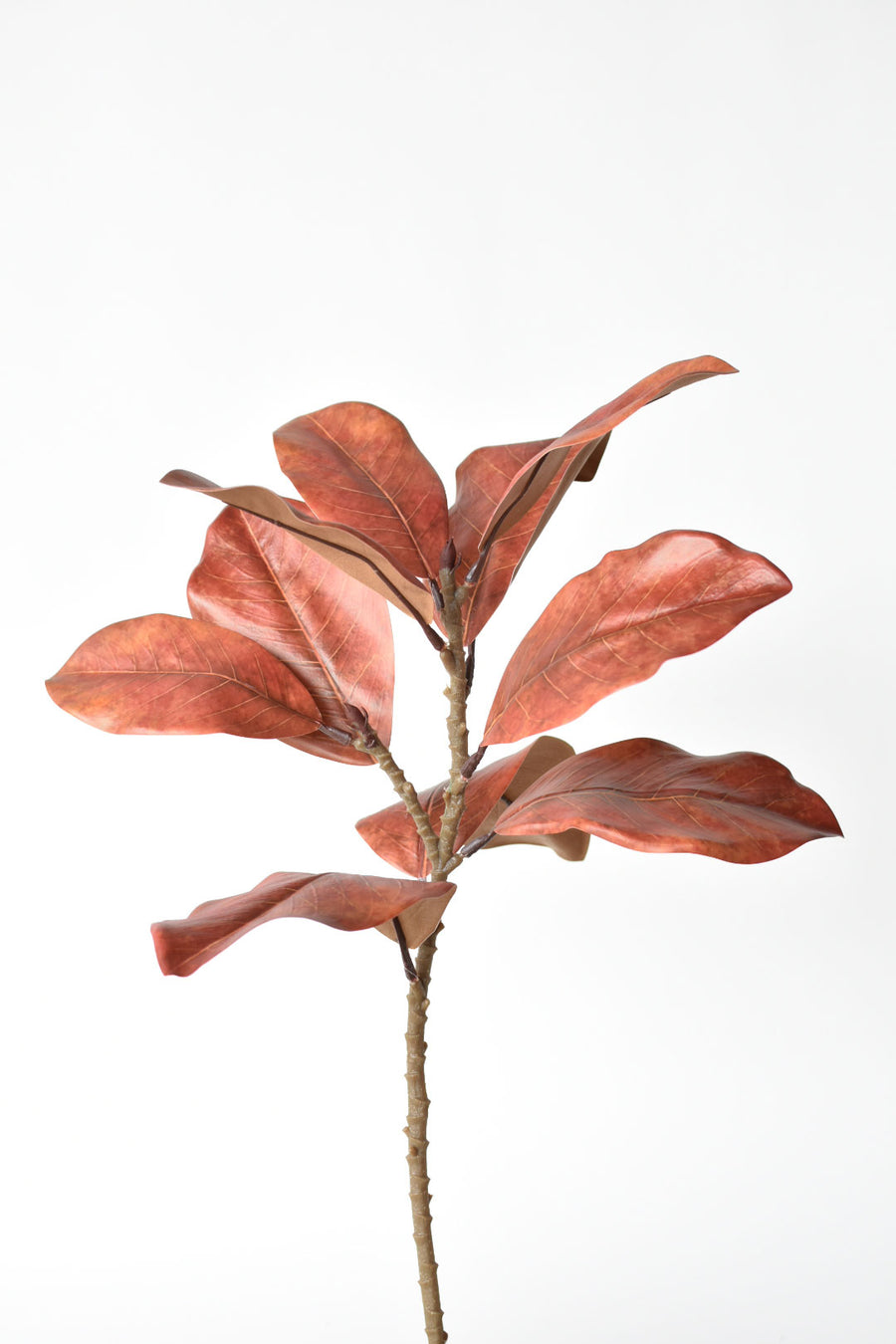 21" Faux Magnolia Leaf Stem : Rust