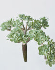 5" Faux Green Sedum Succulent Pick