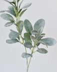 28" Faux Lambs Ear Leaf Stem