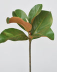 14" Faux Magnolia Leaf Stem
