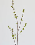 40" Faux Budding Branch Stem