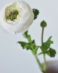 13" Faux White Ranunculus Stem