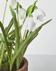 9.5" Faux Snowdrop it Terracotta Planter Arrangement