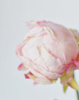 18" Faux Peony Bud Stem Light Pink