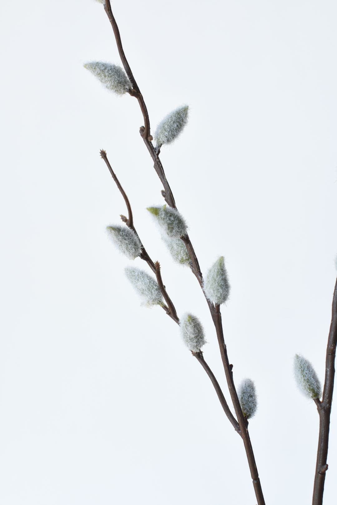 42" Faux Pussy Willow Stem