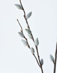 42" Faux Pussy Willow Stem