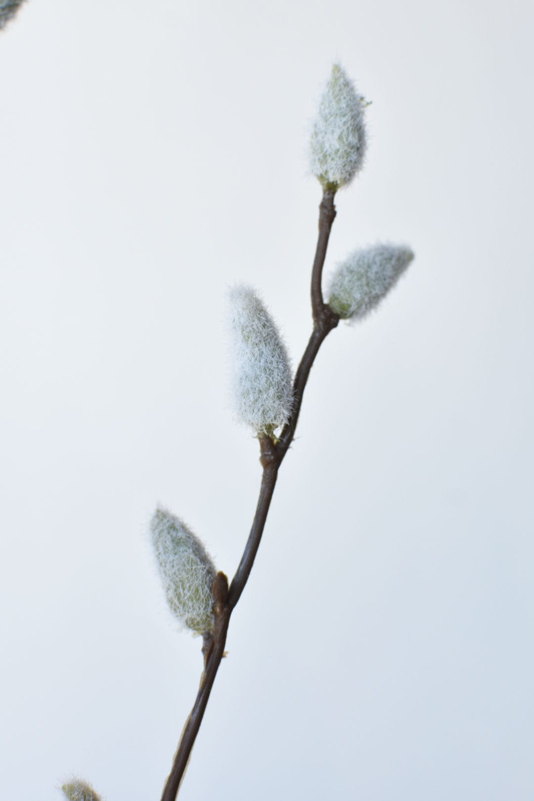 42" Faux Pussy Willow Stem
