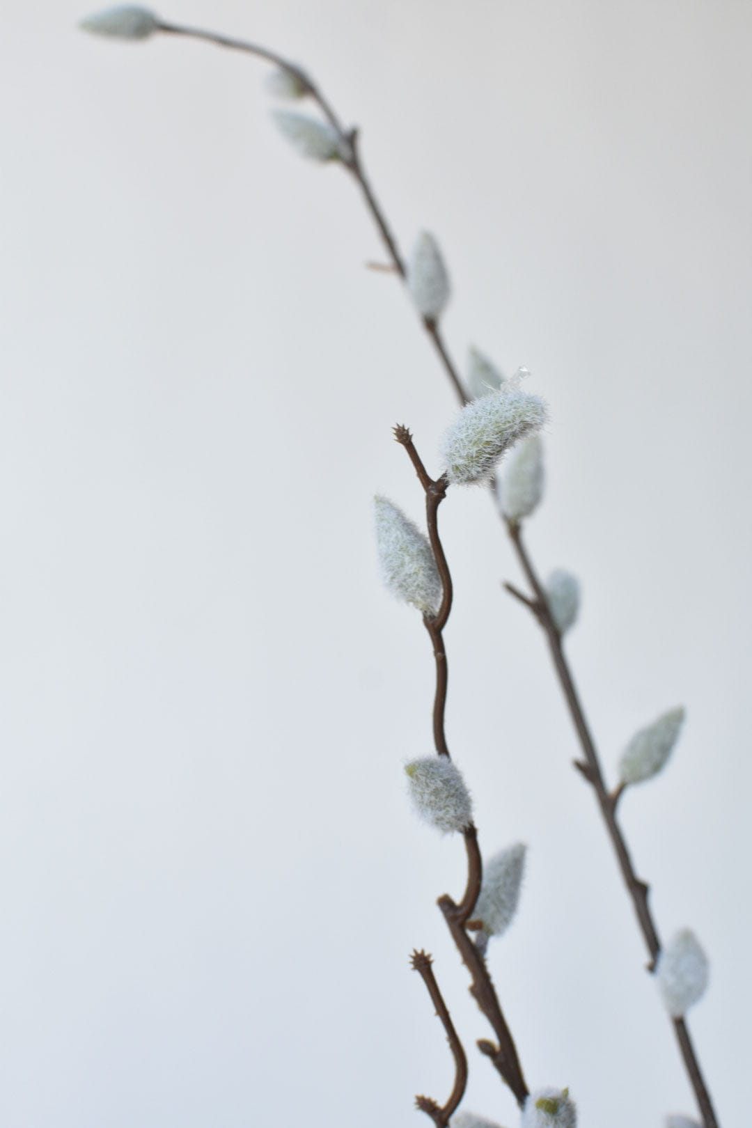 42" Faux Pussy Willow Stem
