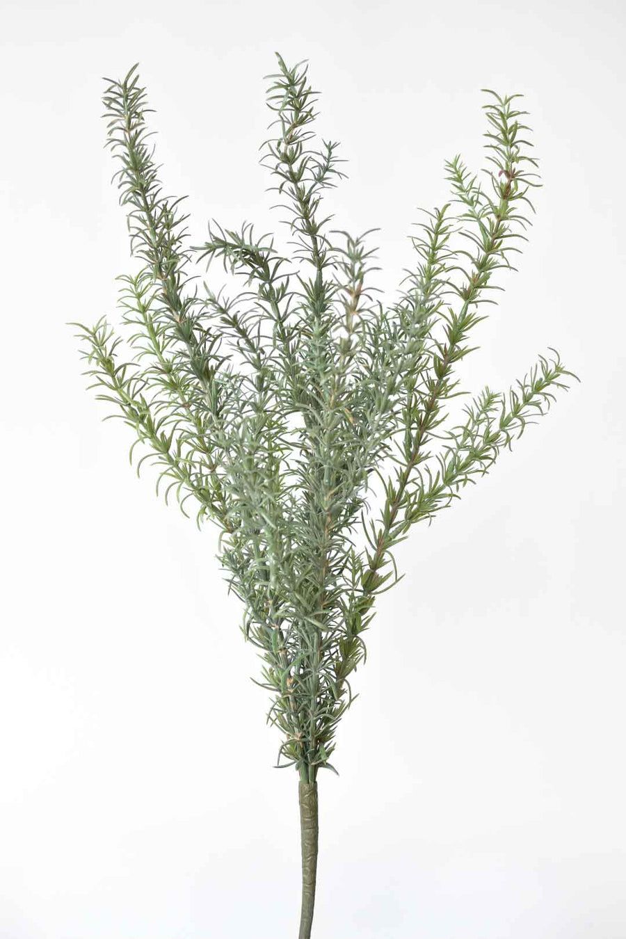 24" Faux Rosemary Bush