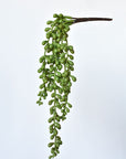 13" Faux String of Pearl Succulent Stem