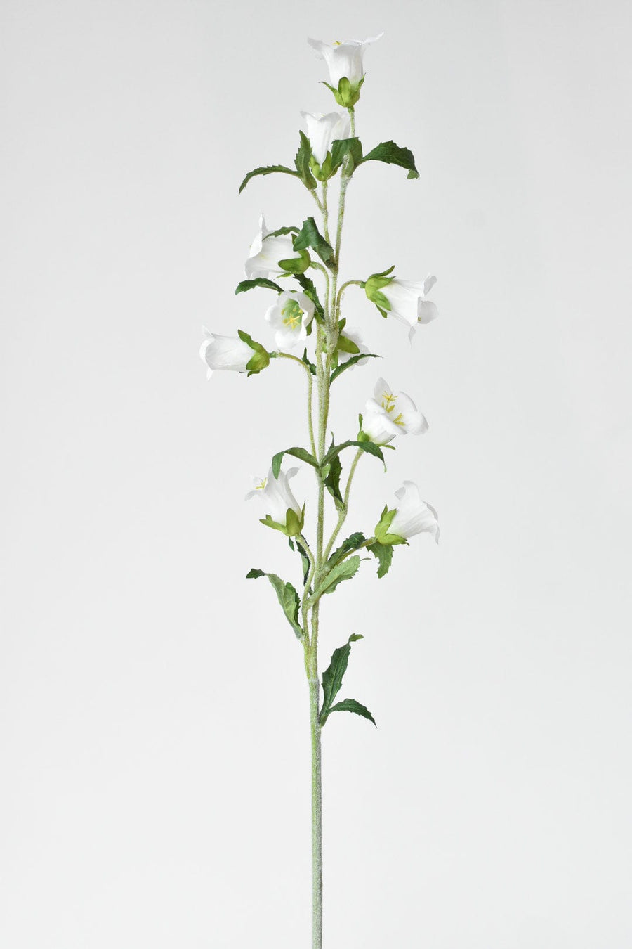 34" Faux White Campanula Flower Stem - Bellflower