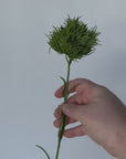 23" Faux Green Dianthus Stem