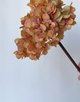 27" Faux Hydrangea Terracotta Orange Stem