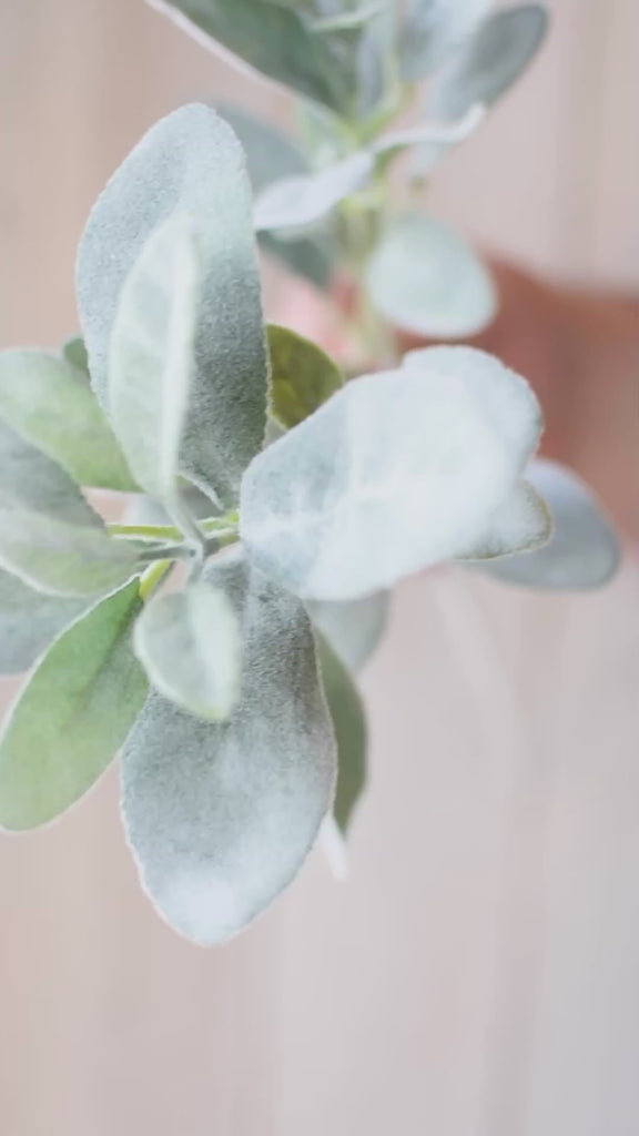 Lambs Ear Spray Artificial Greenery – 68cm Sage Grey Green Faux Flowers & Foliage Stems By Floral Land