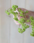 16" Faux Soft Green Sedum Berry Stem