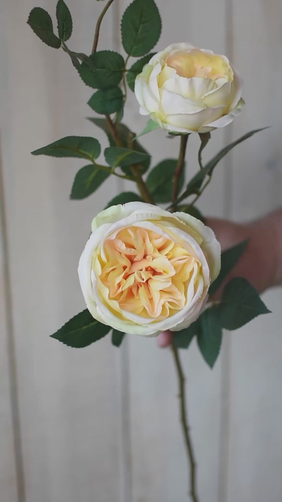 29" Faux Cabbage Rose Stem Yellow / Apricot