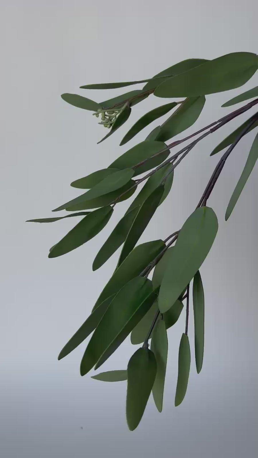 31" Faux Eucalyptus Leaf Stem