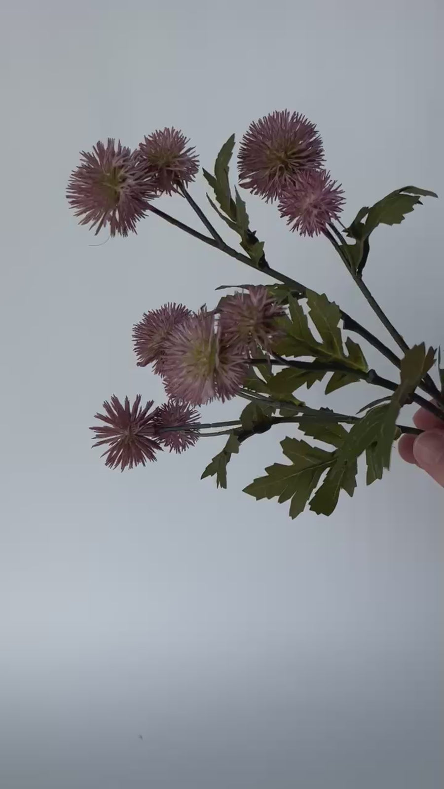 22" Faux Soft Plum Pom Thistle Stem