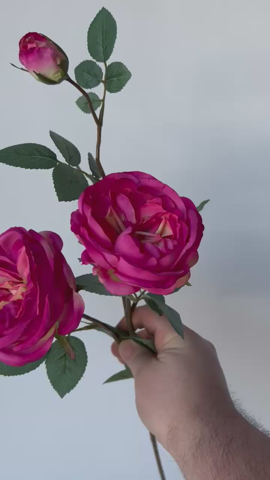 29" Faux Fuchsia Cabbage Rose Stem
