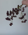 16" Faux Purple Soft Sedum Berry Stem