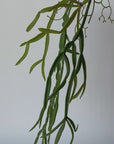 23" Faux Hanging Pencil Cactus Succulent Bush