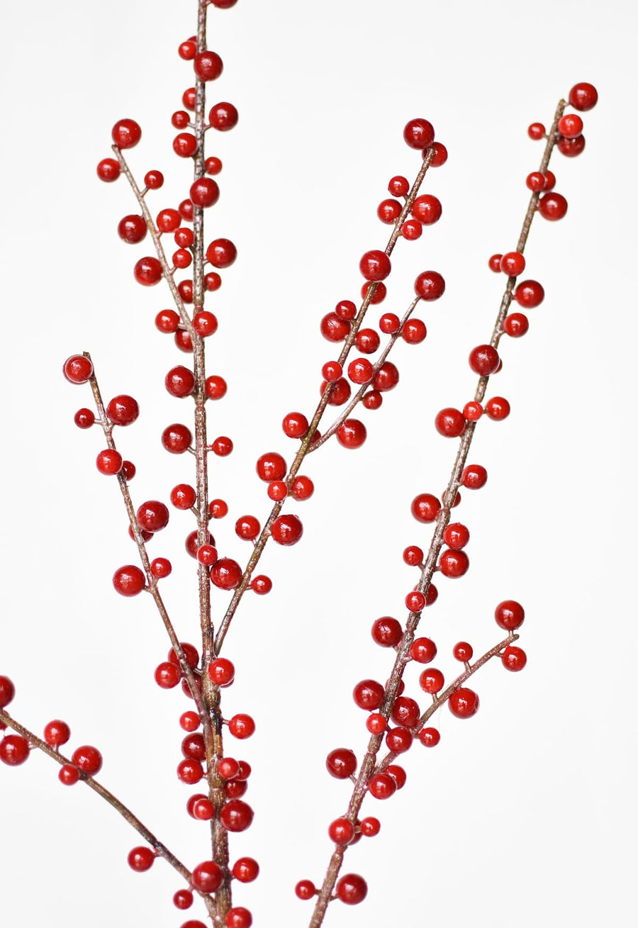 Weather-proof Red Berry Stems curated on LTK