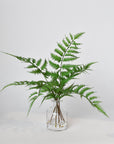 14" Faux Forest Fern in Glass Vase